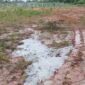 Cairan putih pekat yang diduga limbah B3 tampak menggenangi area tanah di sekitar salah satu lokasi sumur bor milik Pertamina Adera Field di Desa Karta Dewa, Kamis (2/4/2026). Tumpahan ini memicu keresahan warga karena mencemari jalan umum dan lingkungan sekitar tanpa pengamanan. (Foto: Dok/tintamerah)