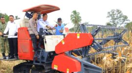 Wakil Gubernur Sumsel H. Cik Ujang bersama Kapolda Sumsel Irjen Pol. Dr. Sandi Nugroho memantau langsung proses panen menggunakan mesin alsintan pada Panen Raya Jagung Serentak di Desa Bumi Agung Jaya, OKU Selatan, Sabtu (16/5/2026). Kegiatan ini menjadi komitmen nyata Pemprov Sumsel dan Polri dalam mendukung program swasembada pangan nasional Presiden RI Prabowo Subianto. (Foto: Dok/ Pemprov Sumsel)