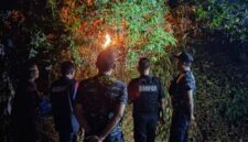 Sejumlah personel Tim Rescue Damkar Kabupaten PALI saat memusnahkan sarang tawon ‘Gong’ menggunakan metode pembakaran di kawasan Golf Permai, Jalan Merdeka KM 5, Talang Ubi pada malam hari. Langkah ini diambil guna memastikan koloni tawon musnah total demi keselamatan warga dan kru redaksi tintamerah.co. (Foto: Dok/tintamerah.co)