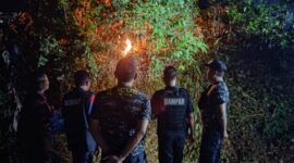 Sejumlah personel Tim Rescue Damkar Kabupaten PALI saat memusnahkan sarang tawon ‘Gong’ menggunakan metode pembakaran di kawasan Golf Permai, Jalan Merdeka KM 5, Talang Ubi pada malam hari. Langkah ini diambil guna memastikan koloni tawon musnah total demi keselamatan warga dan kru redaksi tintamerah.co. (Foto: Dok/tintamerah.co)