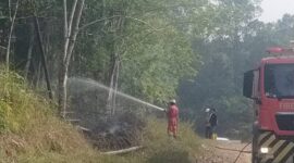 Tim tanggap darurat PT Pertamina EP Pendopo Field bersama armada Fire Truck berkapasitas 5.000 liter berjibaku memadamkan titik api Karhutla di Desa Talang Akar, Kecamatan Talang Ubi, Kabupaten PALI, Sumatera Selatan, sebagai wujud nyata kepedulian terhadap keselamatan dan lingkungan sekitar wilayah operasional. (Foto: Dok/HSE Pertamina Pendopo Field)