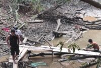Sungai Penukal Kering Kerontang: Warga Dusun IV/Talang Gas, Desa Suka Maju, Kecamatan Talang Ubi bersama jurnalis tintamerah.co meninjau langsung kondisi Sungai Penukal yang mengering total akibat disedot mesin pompa Rig TMMJ/Pertamina EP Pendopo Field selama tiga hari tiga malam, Jumat (18/9/2026). Akibat lemahnya mitigasi perusahaan di tengah kemarau panjang, warga meradang dan menuntut pertanggungjawaban serius. (Foto: Dok/tintamerah.co)